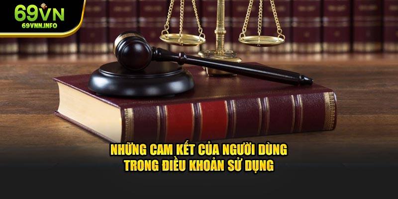 Những cam kết của người dùng trong điều khoản sử dụng