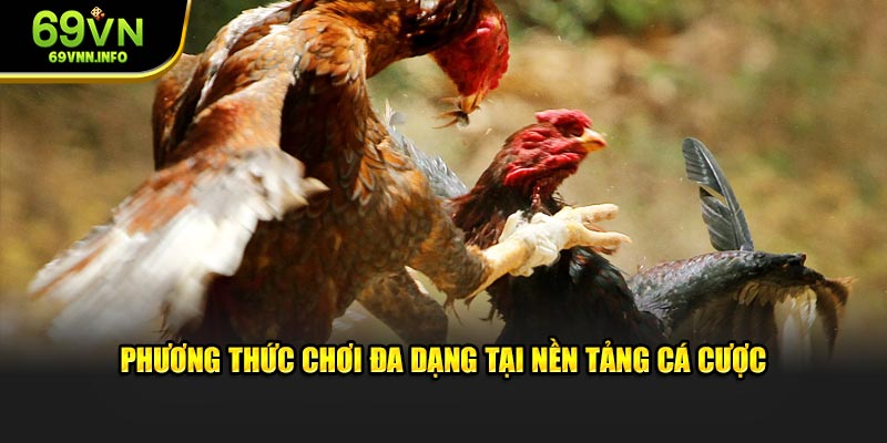 Phương thức chơi đa dạng tại nền tảng cá cược